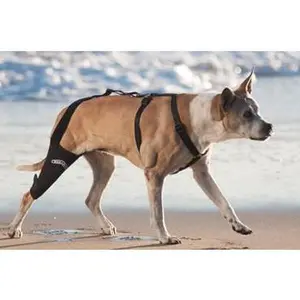 The Walkabout Knee Brace The Walkabout Knee Brace