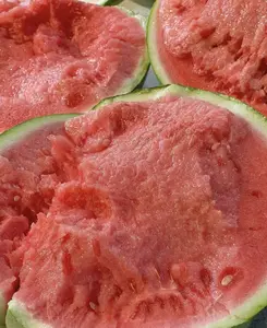 50 rare watermelon seeds, with thin skins and easy growth, are the first choice for beginners