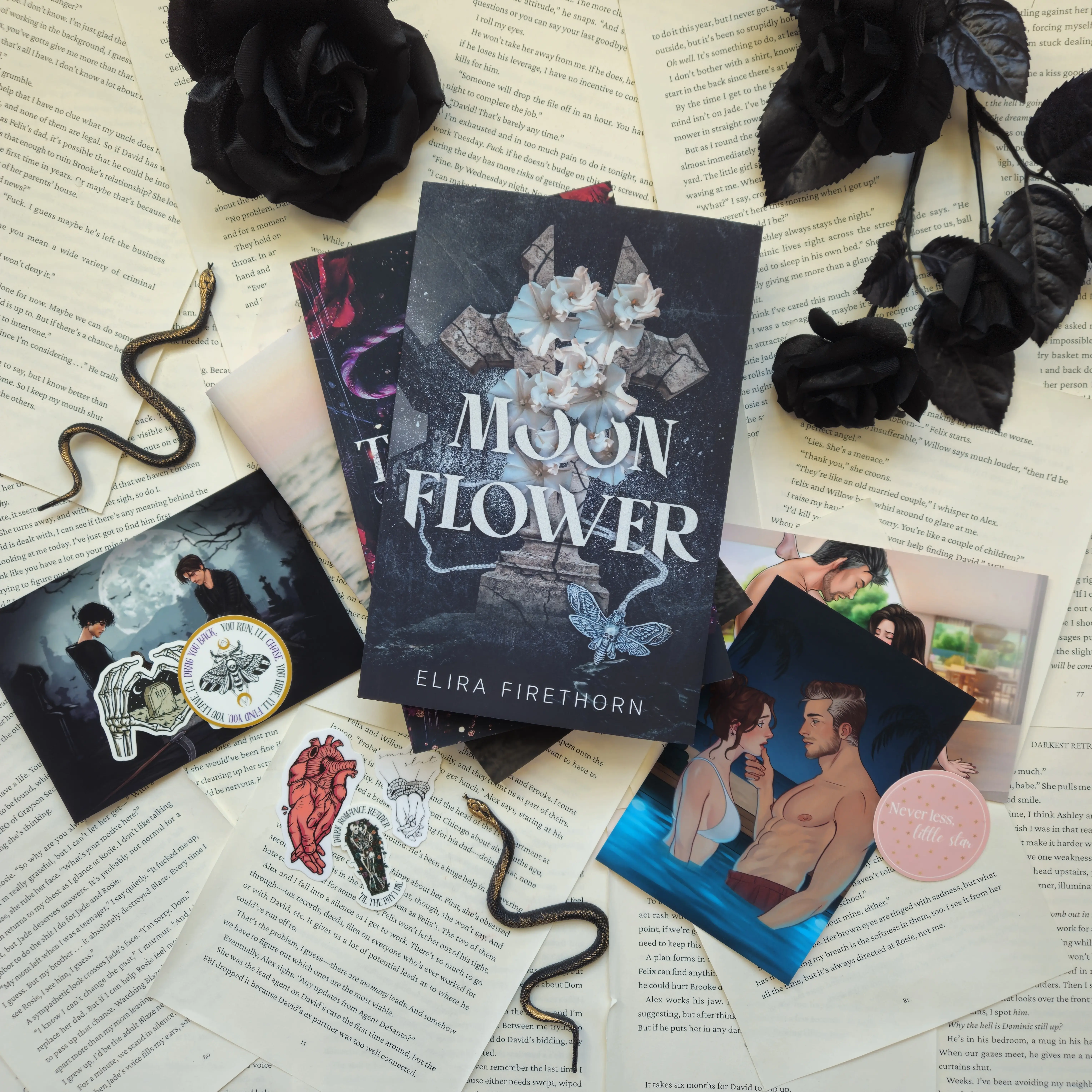 Spicy Novella Book Bundle | Never Less, an Age Gap Boyfriend's Dad Romance | Moonflower, an MFM Childhood Friends to Lovers Halloween Romance | A Twisted Gift, a Kidnapping Christmas Romance