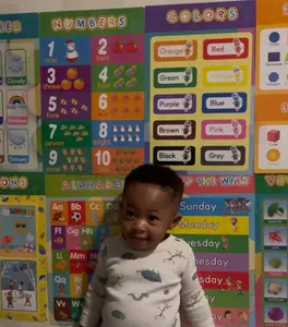 16 Boho Educational Posters for Toddlers Classroom Decor Ideal for Kids Ages 1-5 Elementary Boho-Themed Learning Posters