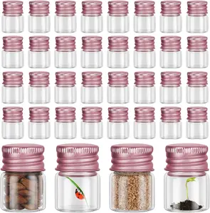 100 Pcs 5 ml Mini with Aluminum Cap Tiny Jars Mini Jars Small Clear Vials with Screw Caps Tiny Containers for DIY Craft (Rose Gold)