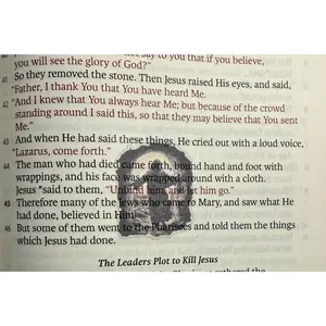 Mini Bible Stickers - New Testament Scripture Stickers