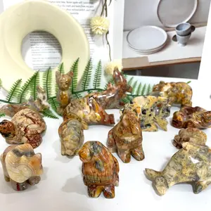 Crazy Lace Agate Animals Crystal Dog Dolphin Frog Cat Fish Shark Bear Rhinoceros Tortoise Healing Stone Home Decoration From IG Crystal