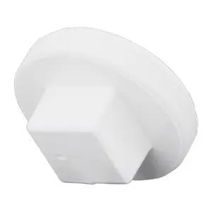 Charlotte Pipe Schedule 40 2 in. MPT x 2 in. D MPT PVC Clean-Out Plug (1 Pack) – Durable Plumbing Solution