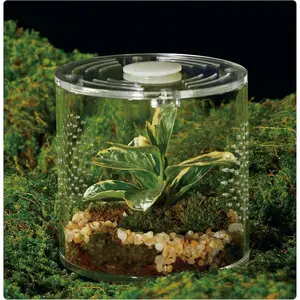 Acrylic Terrarium for Reptiles & Spiders – Small/Medium/Large Leak-Proof Enclosure (Horizontal/Vertical) Ideal for Tarantulas, Jumping Spiders, Frogs & Geckos(Small, Round)