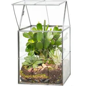 D'Eco Glass Geometric Terrarium for Succulent & Air Plant-Hinged Roof Shaped for Indoor Gardening Decor- Create your own Centerpiece (Large 5"x6"x11")
