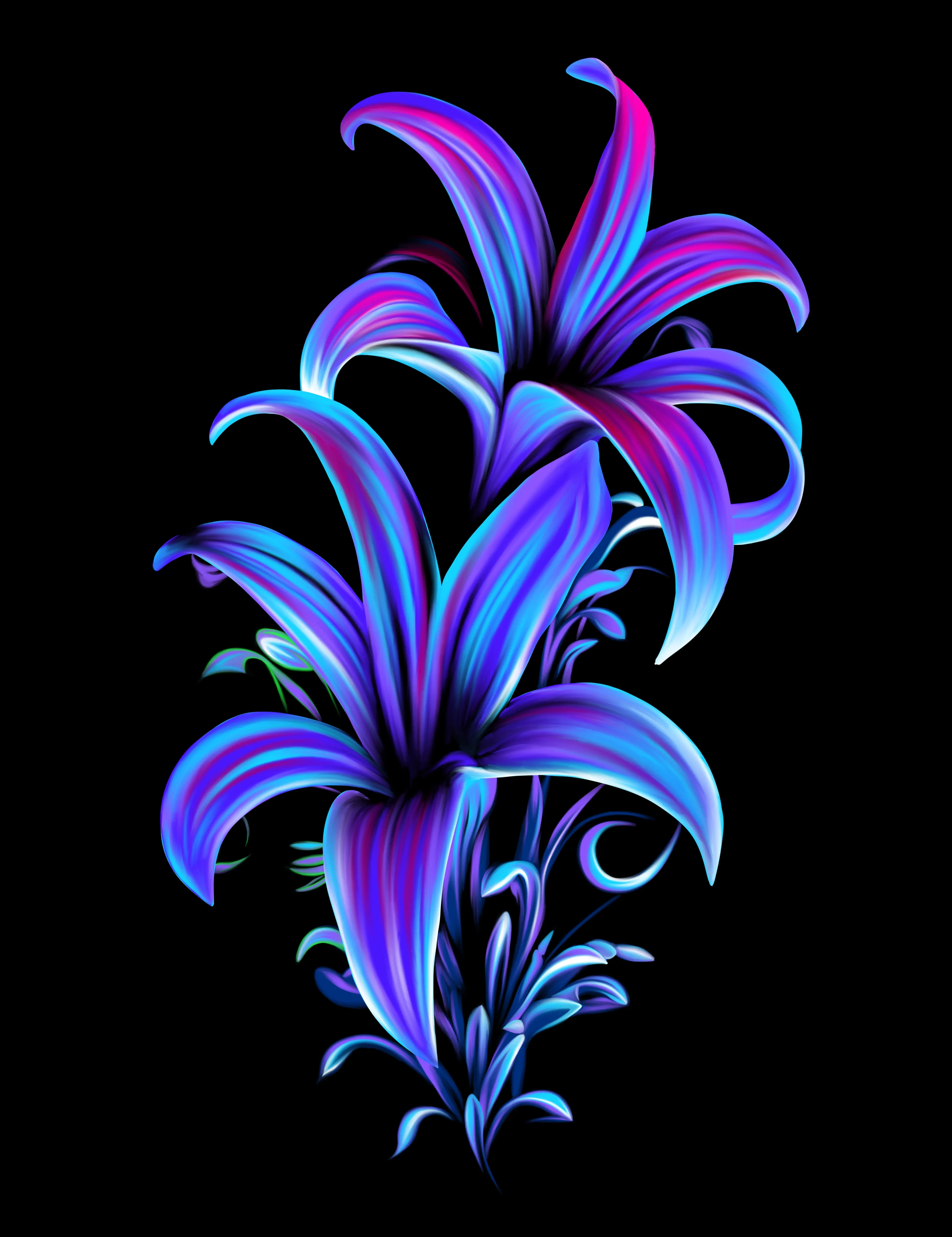 Blue Lily Vector Art