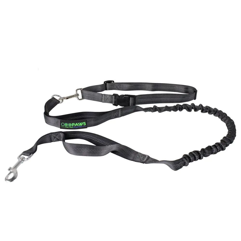 212 Main HBL-48BK 4 ft. Hands-free Bungee Leash, Black