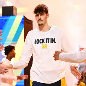 Team Michigan Wolverines Basketball Shirt, Michigan Basketball Shirt, Basketball Tee, Graphic Tee