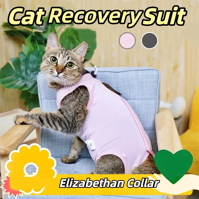 Cat Recovery Suit Female Cotton Breathable Onesie - Post Surgical Shirt For Cats Spay Surgery - Kitten Abdominal Wounds Protective Clothes - Soft Pet Recovery Body Suit