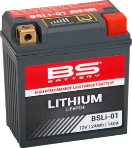 BS BATTERY Lithium LiFePO4 Battery