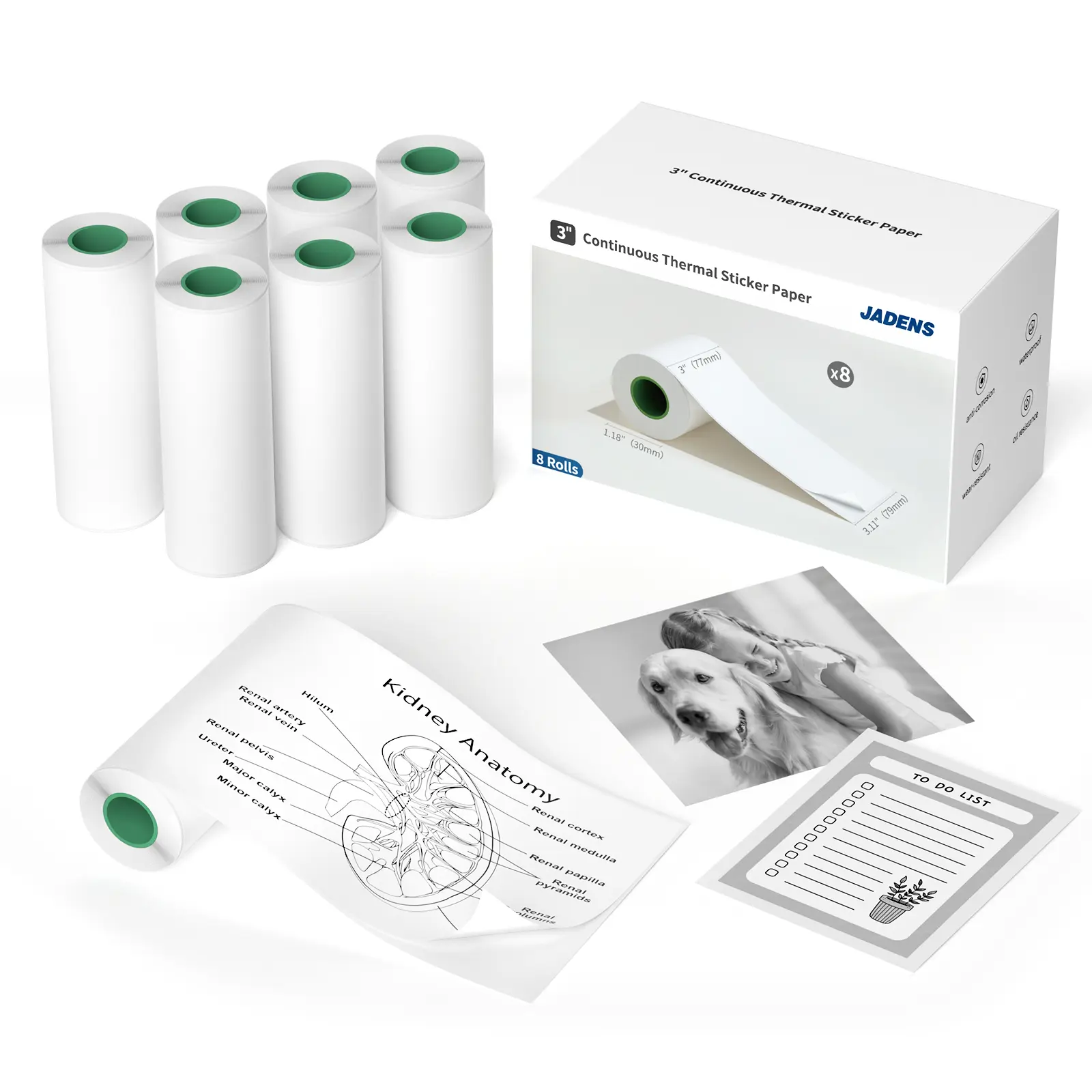 3'' Continuous Label