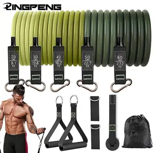 Professional Resistance Band Set with Handles, Multi-Functional Exercise Bands for Home Gym, Ideal Fitness Equipment for Men & Women, Workout Bands