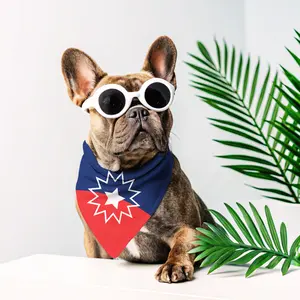 Juneteenth flag 2-in-1 bandana