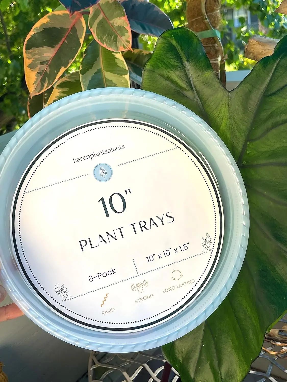 Plant Drip Tray Saucer Cache Pot | karenplantsplants
