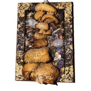 Real Winter Oyster Mushroom in Resin Framed with Quartz, Tiger's Eye, and Abalone Shell Pieces