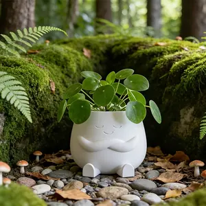 3D Printed Functional Planter, Perfect for Pilea or Succulents, Desktop Pen Holder, Ideal Gift for Mother's Day, Birthday, Moving in