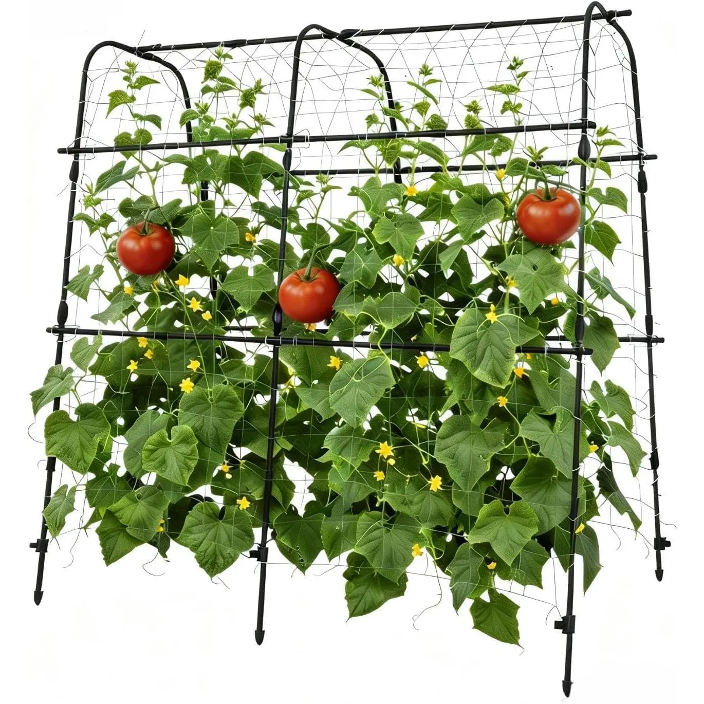 Garden Arch Trellis, Heavy Duty u-Shape Plant Support for Raised Beds, Black Metal Vertical Climbing Frame for Vegetables, Fruits & Flowers, Weather-Resistant, Easy Assembly