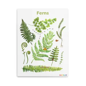 Kaplan Early Learning Fern Giclee Wall Print | Nature-Inspired Room Décor | 18" x 24" | Plant Canvas Wall Art