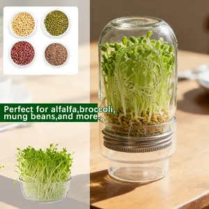 Glass Sprouting Jar, Protective Design, Separation Structure, Lightweight Sprout Maker, Easy Drainage, Healthy Fresh Vegetables, BPA-Free Kitchen Container