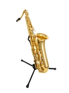 WISEMANN DTS-350 Tenor Saxophone, Bb, with high canvas case and mouthpiece
