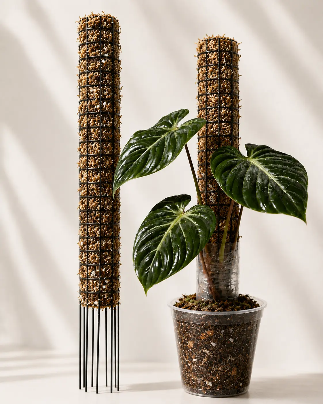 PropStake 14" | Galvanized Steel Starter Moss Pole for Climbing Plants