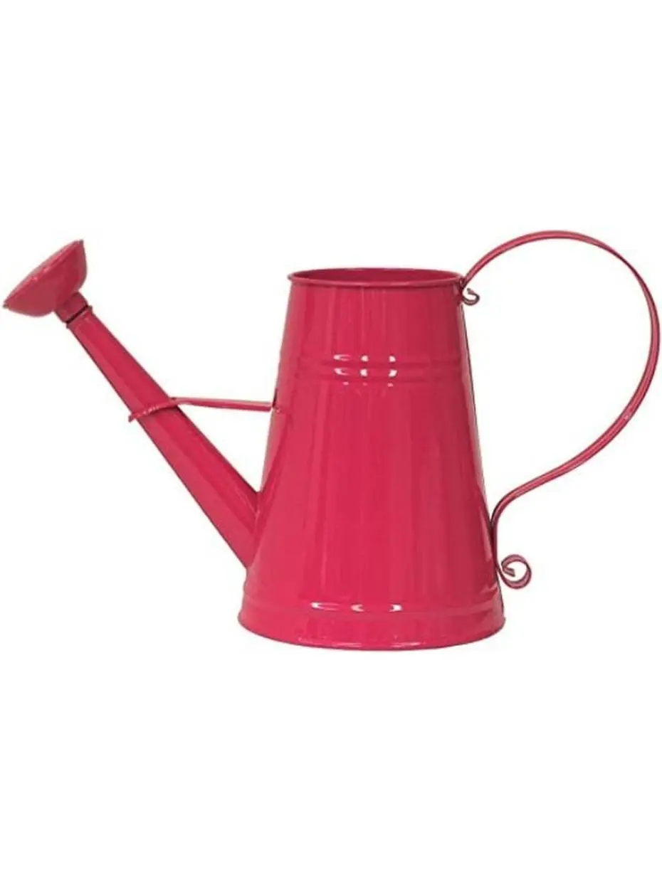 1 gal Enameled Galvanized Steel Watering Can with Removable Rosette, Hot Pink