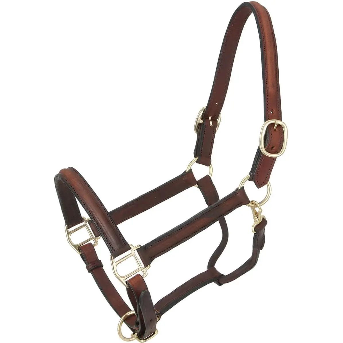 Royal King Raised Leather Halter