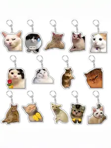 A Cute & Funny Cat Meme Keychain, Keychain Kawaii, Universal Charm for Bags / Keys / Luggage, Creative Small Gift