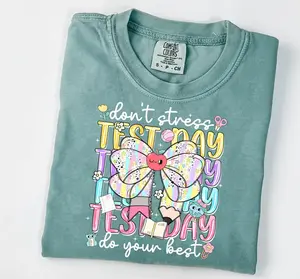 Test Day Dont Stress Do Your Best Shirt Comfort Colors, State Testing Teacher Graphic Tee, Student Encouragement TShirt, Classroom Shirt Soft Cotton Tee