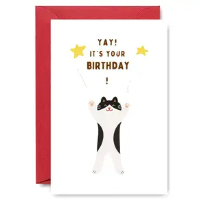 1PC Cute Cat Birthday Banner, Happy Birthday Greeting Card for Friends, Celebration Card, Fun Party Cards, Cute Design, Cat Theme, Perfect for Cat Lovers, Gifting to Friends