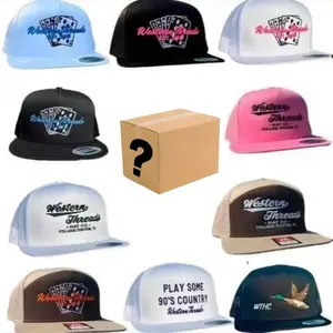 [BEST 2026] One Hat Box Sent, Embroidered Hat Western Threads, Duck Flying Cap, Outdoor Cap Gift Box for Men & Women