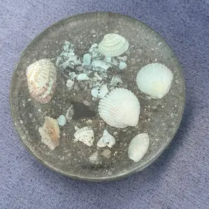 Thick Ocean Shell & Shark Tooth Coaster