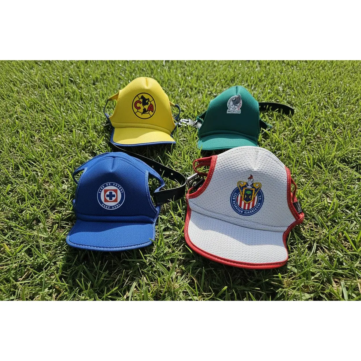 Gorritas