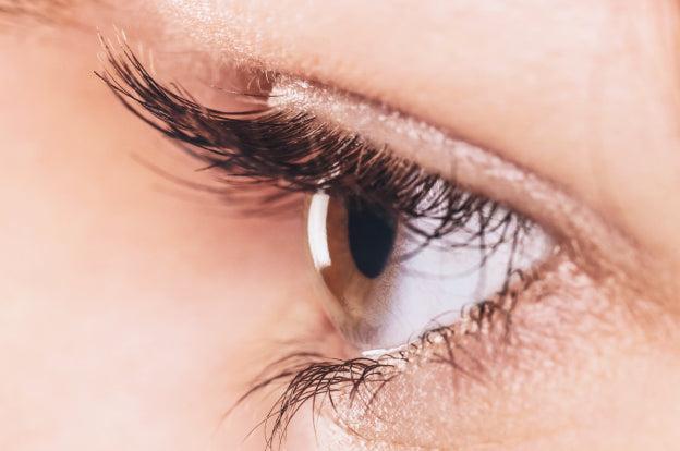 KISS Lash Couture Matte Black Multipack - Matte Cheviot