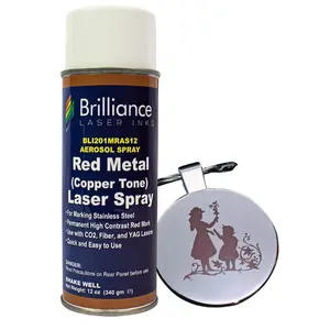 Red (Copper Tone) Stainless Steel Laser Spray Can - 12oz Aerosol