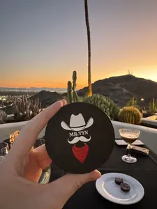 Mr. Tyn: The Perfect Tin to Store Zyn Velo Rogue or Lucy Pouches, Durable, Sleek and the Perfect Gift! With Disposable Compartment & Dividers!