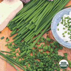 Ferry-Morse Chives, Organic Seeds