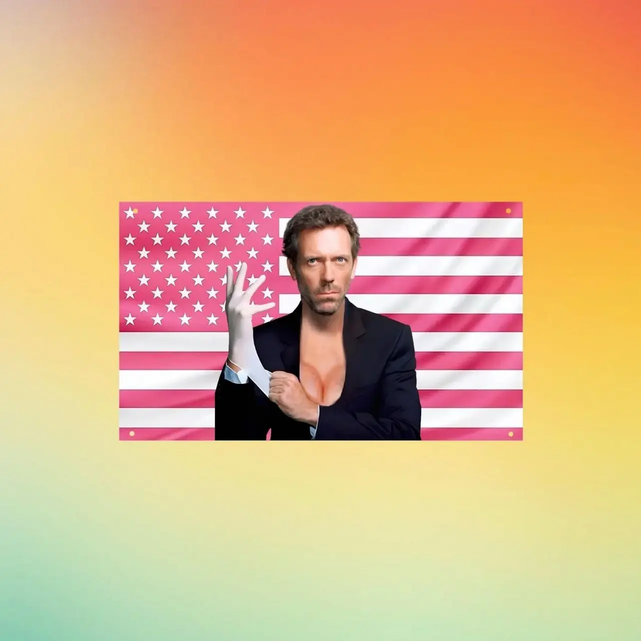 Dr House Pink US Flag, House MD Wall Tapestry, Gregory House Meme Wall Flag, Funny Dorm Room Decor, Medical TV Fan Gift