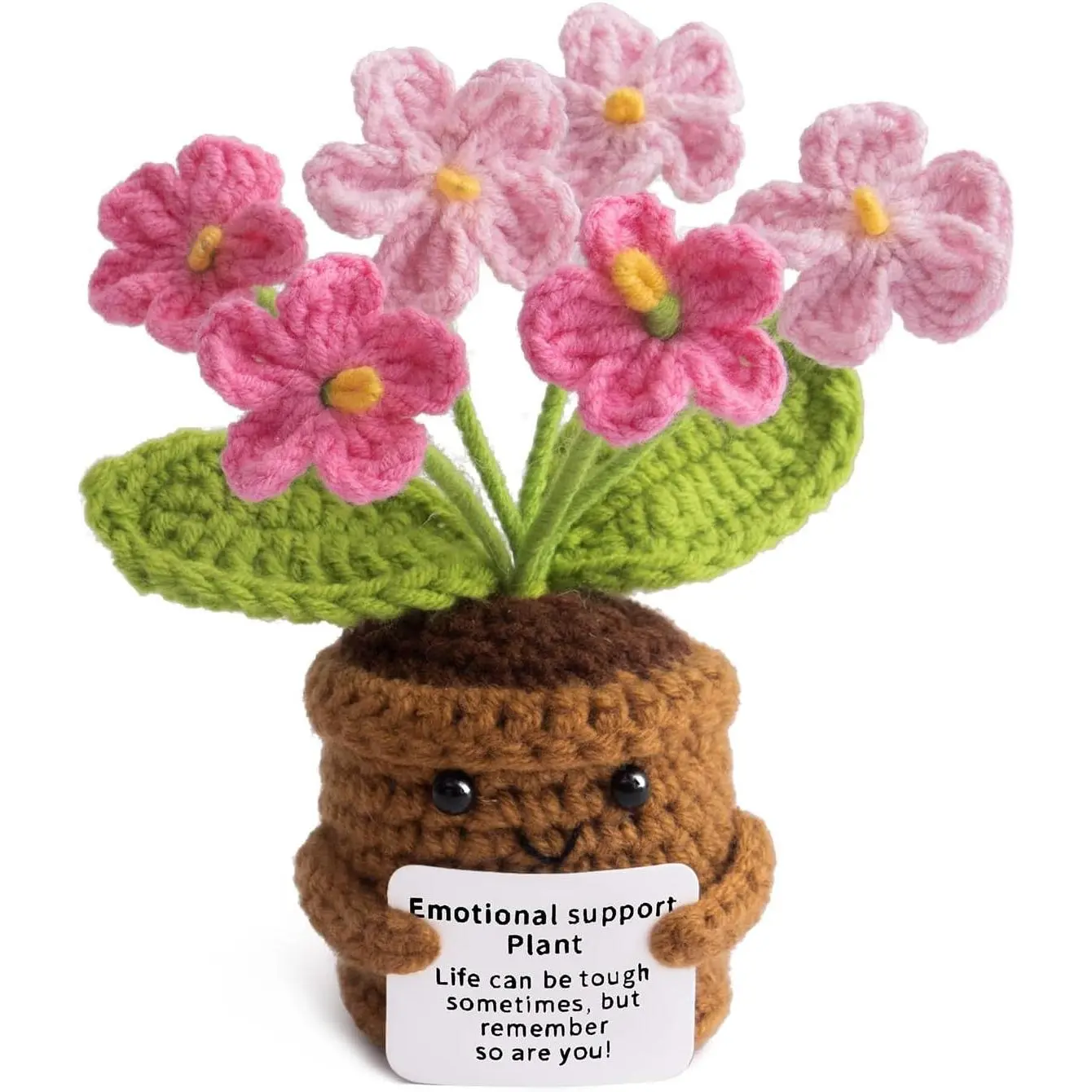 Pink Gradient Myosotis