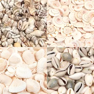30/40/50g Natural Sea Flower Snail S Beads Loose Spacer Beads DIY Jewelry Bracelet Pendant Phoen Key Bag Chain Accessories