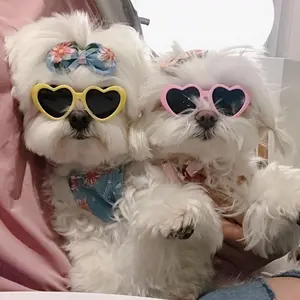 Cute Heart-Shaped Pet Sunglasses for Dogs and Cats, Ideal for Outdoor Travel and Play, Perfect Photo Prop for Pets