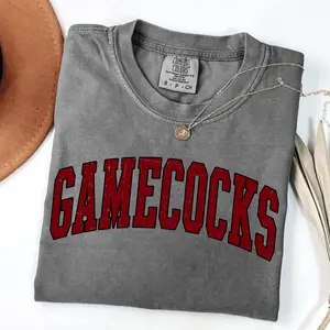 Comfort Colors Game Day T-shirt, Vintage Gamecocks Tee, Retro College Football Tshirt, Country Tailgate Outfit, Fall Sports Fan Tee, Southern Style