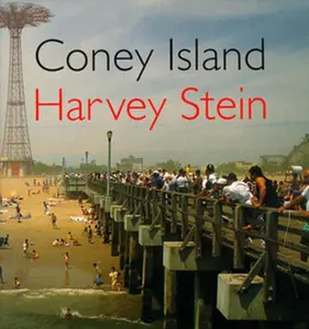 USED-Coney Island by Harvey Stein (Hardcover)