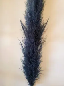 Blue Pampas Stem