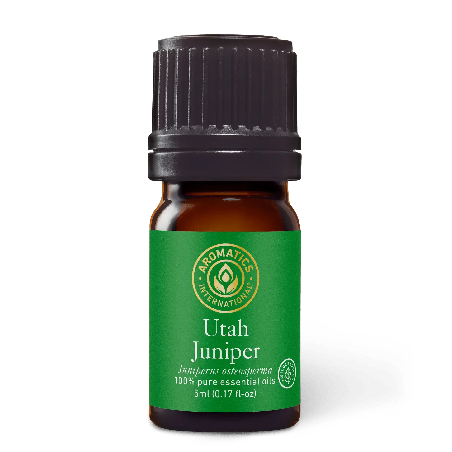 Utah Juniper Essential Oil for Aromatherapy & Therapeutic Solution