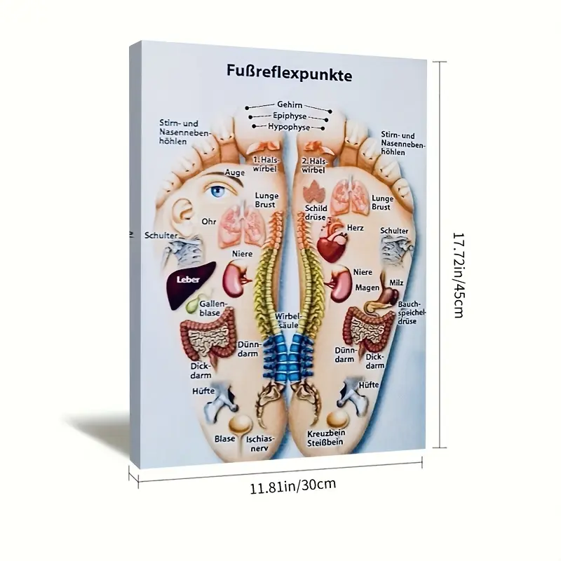 1Pc2D, Foot Reflexology Chart, Oil Painting, Poster, Wall Decoration, Living Room, Dining Room, Garage, Office, Bar, Courtyard, Decorative Painting, Solid Wood Frame, 11.81 X 17.72inch