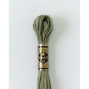 DMC Embroidery Stranded Thread - Six-Strand Embroidery Floss - 3022 - Rhino