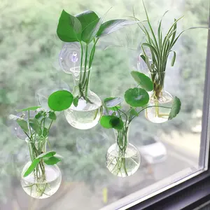 Window Plant Propagation Station, 4 Counts/set Clear Ball Root Vase with Suction Cups, Plant Hanging Container for Office and Home Decoration