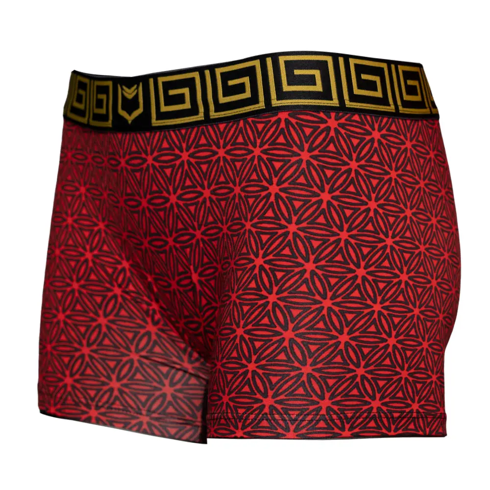 SHEATH Women's Modal Boxer Brief